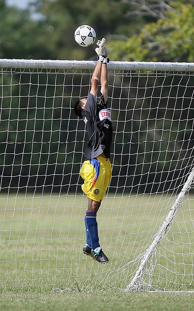 他们在国际 他们在国际