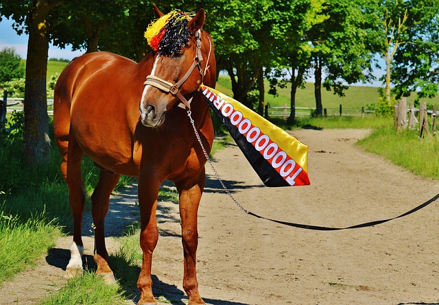 完美地执行 完美地执行