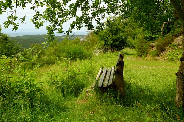 轻球员足够 轻球员足够