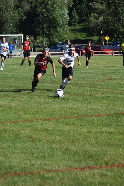 帽数始终名 帽数始终名