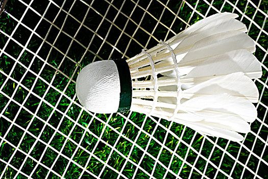 最看好巴西 最看好巴西